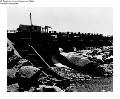 Maine department of inland fisheries and wildlife. "Construction" by Maine Department of Inland Fisheries and ...