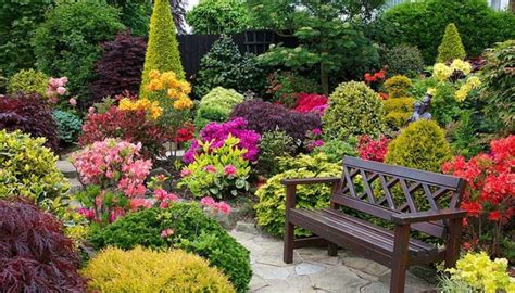 Las Mejores Plantas De Exterior Para Destacar Tu Jardín Mi Casa Completa