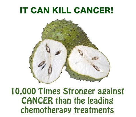 The Soursop Fruit As A Cure For Cancer Healthy Cancer Chick