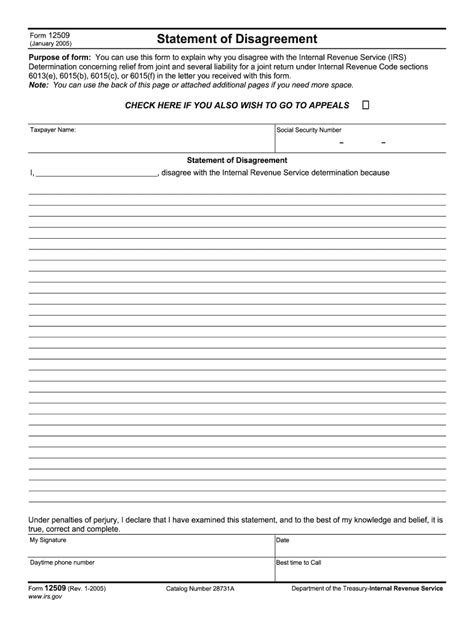 Under most circumstances, changing your business name with the irs will not require a new ein—though it will require an ein name change. 2005 Form IRS 12509 Fill Online, Printable, Fillable ...