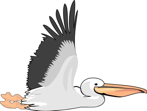 Pelican Clip Art At Vector Clip Art Online