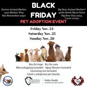 Here are seven places to find dogs, cats, and even rabbits. Black Friday Pet Adoption Event Department of Public Health