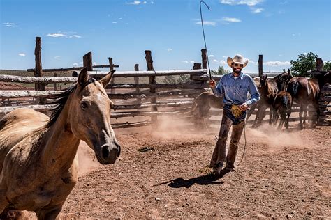 Babbitt Ranch Cowboys Working On Behance