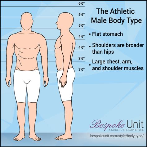 Athletic Male Body Type