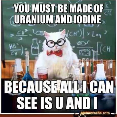 Science Cat Meme Funny Image Photo Joke 08 Quotesbae