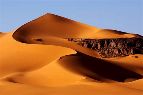 558494 Sahara Footprint Algeria Sand Desert Africa Dune Rare