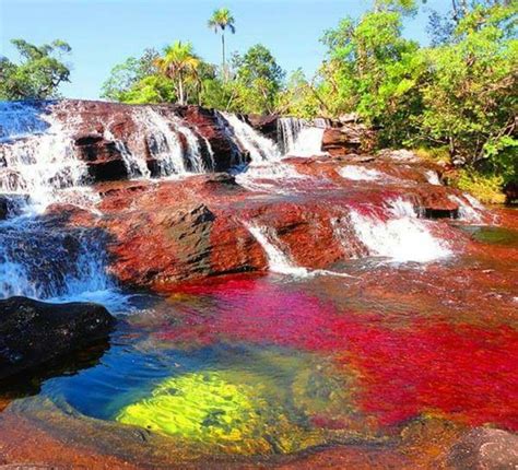 Caño Cristales Colombia What A Beautiful World Beautiful Places