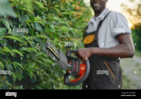 Close Up Of Gasoline Hedge Trimmer That Holding Cheerful African Man In