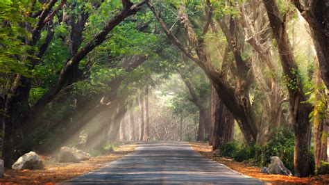 In response you shared many hundreds of your pictures with us. ESG Investing - MSCI