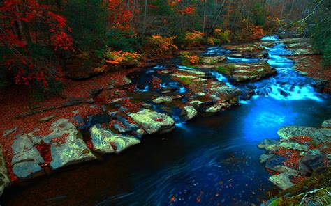 Wallpaper Landscape Forest Fall Rock Nature Reflection River