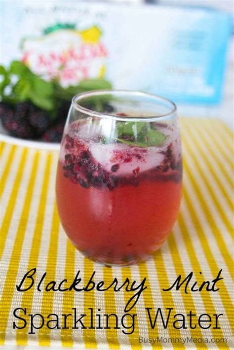 Goodreads helps you keep track of books you want to read. Blackberry Mint Sparkling Water
