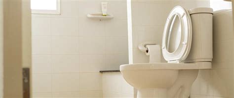 If you hear a noise like that coming from your toilet tank even when it flush the toilet to expel the water which is currently inside the tank. How to Keep Your Toilet Tank Clean & Why | Curtis Plumbing ...