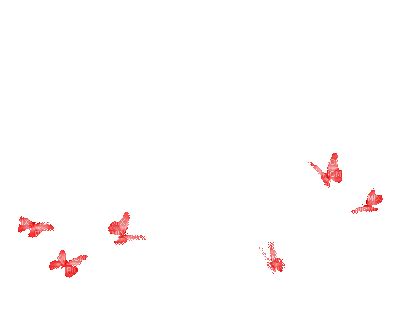 With tenor, maker of gif keyboard, add popular butterfly animated gifs to your conversations. aze papillon rouge red butterfly stamps animaux animal ...