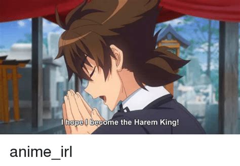 Hopell Become The Harem King Animeirl Anime Meme On Meme