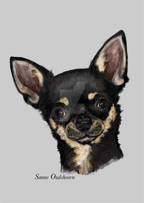 Chihuahua Painting By Cisanne On Deviantart