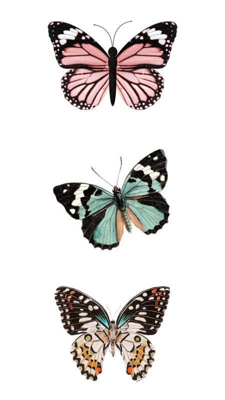 See more ideas about laptop wallpaper, laptop wallpaper desktop wallpapers, aesthetic desktop wallpaper. VSCO - reesebrewer | Butterfly art, Butterfly wallpaper ...