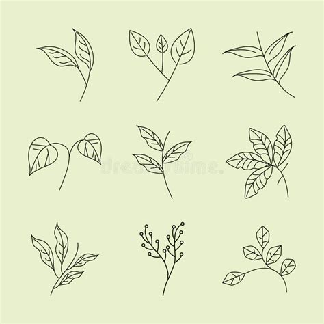 Leaves Line Icons Set Style Branches Foliage Nature Decoration Stock