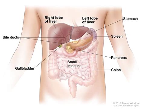 Lumps, swellings, fractures, joint tenderness and pain are some common symptoms of bone cancer in ankle and foot. Childhood Liver Cancer Treatment (PDQ®)—Patient Version ...