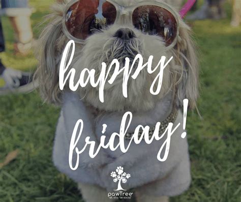 Happy Friday Images Funny Dogs