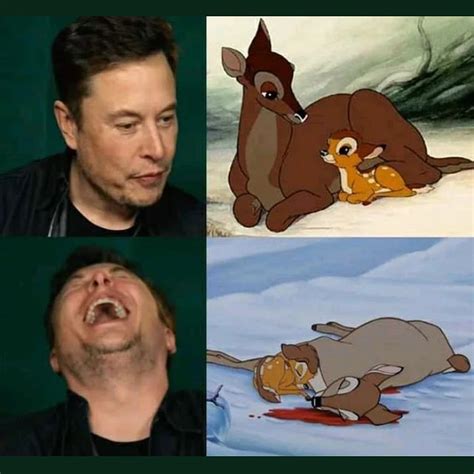 In the episode, elon musk laughs at a meme showing a deer lying at the bottom of a pool, and continues to do so after learning that the deer was, in fact, dead. Elon Musk laugh at a dead deer meme - AhSeeit