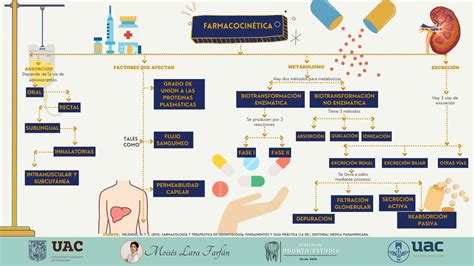 Farmacocinetica Mapa Conceptual Farmacodinamia Farmacoterapia