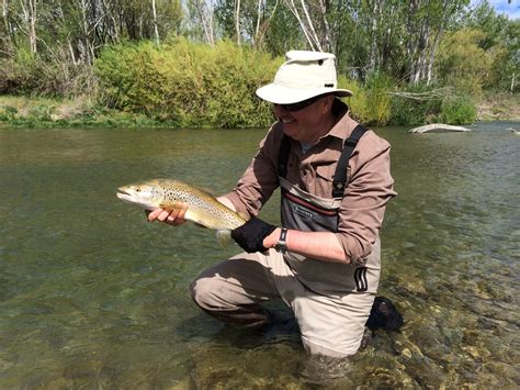 Fly Fishing In New Zealand Fly Odyssey Blog