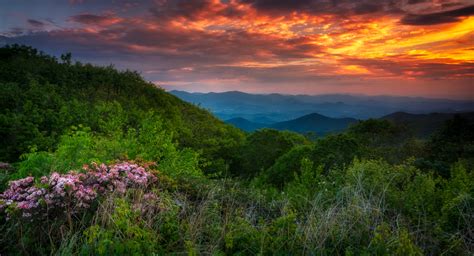 15 Fun Georgia Road Trips For Your Bucket List Southern Trippers