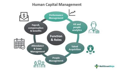 Human Capital Management What Is It Functions Examples