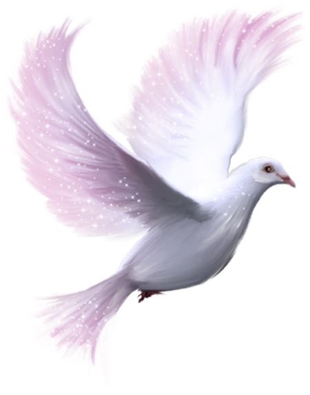 Columbidae Release Dove Clip Art Pigeon Png Download 450573 Free