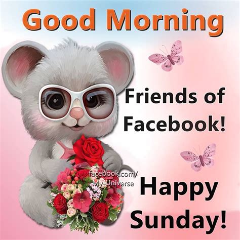 Good Morning Friends Of Facebook Happy Sunday Pictures