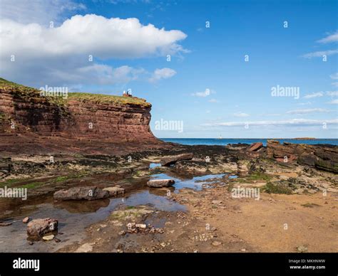 Seacliff East Lothian Scotland The Secret Cove And Location Of One