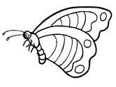 butterfly coloring pages page