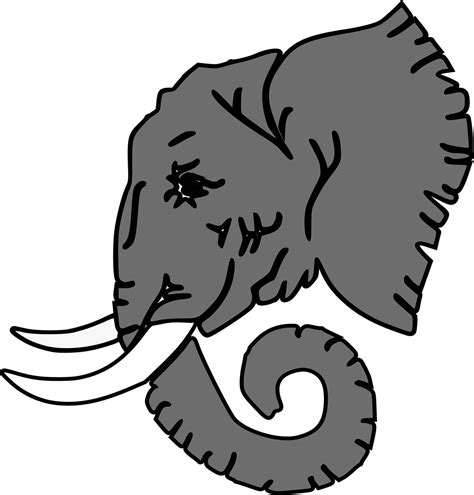 Elephant Head Tusk Free Vector Graphic On Pixabay