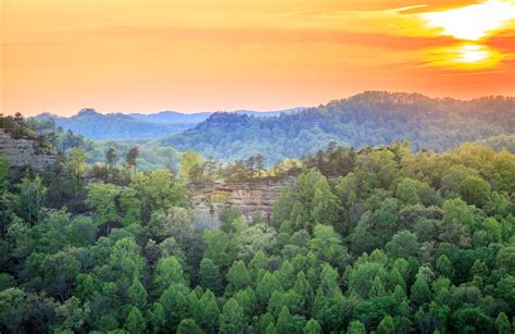 Best Hiking Trails In Kentuckys Daniel Boone National Forest