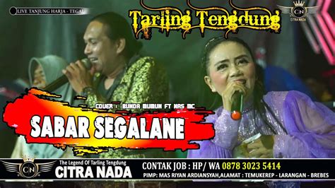 Sabar Segalane ~ Tarling Tengdung Citra Nada Live Desa Tanjungharja
