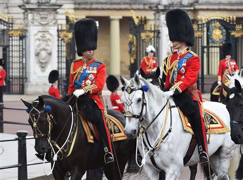 Trooping The Colour 2014 Mirror Online