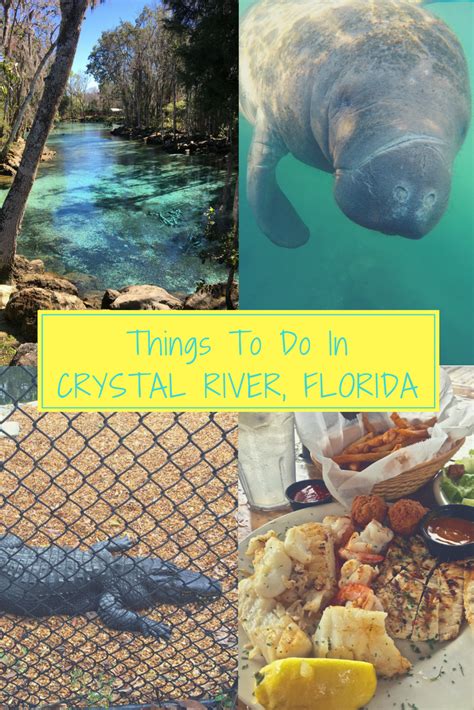 8 Things To Do In Crystal River Florida Artofit