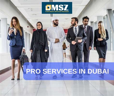 Pro Services Dubai Best Pro Services Provider Msz Consultancy