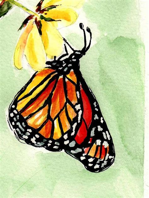 Spazs Monarch Butterfly Watercolor Butterfly Art Painting