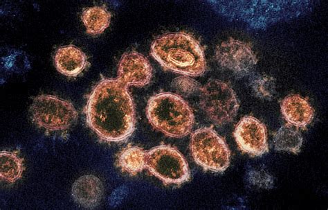 What We Know About The New ‘double Mutant Coronavirus Variant