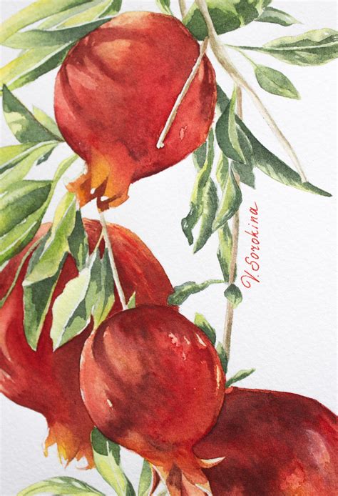 Pomegranate Art Original Painting Watercolor Fruit Botanical Etsy