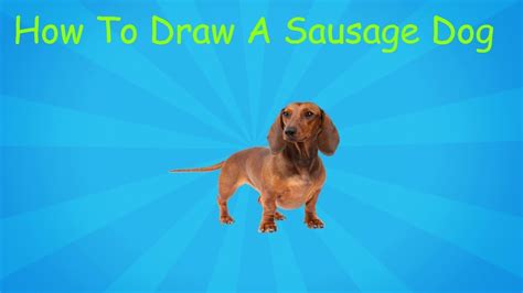 How To Draw A Sausage Dog Youtube
