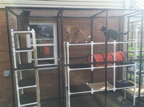 Outdoor Pvc Catio For Cat Play And Protection Formufit