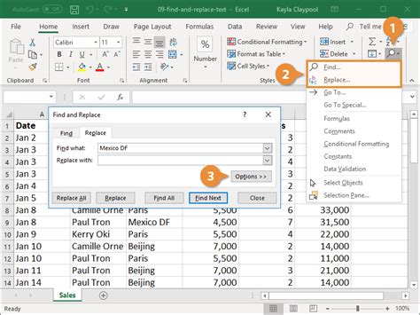 Find Or Replace Text And Numbers On A Worksheet Excel