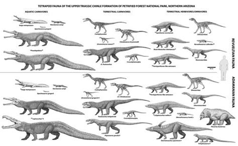 Scientific Illustration Scientific Illustration Prehistoric Animals