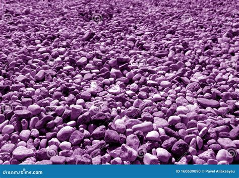Pile Of Small Gravel Stones In Purple Tone Stock Photo Image Of