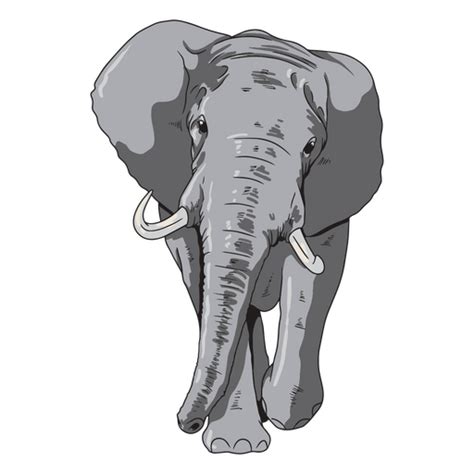 Designs Png De Elefante Africano Para Camisetas E Merch