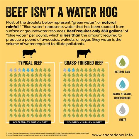 Beef Is Not A Water Hog 94 Of Water Allocated To Beef Production Is