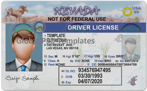 Nevada Drivers License Template Front And Back V2 Global Psd Template