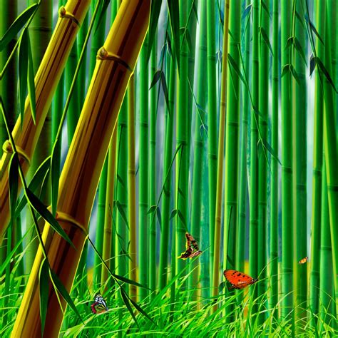 45 Bamboo Forest Wallpaper Wallpapersafari